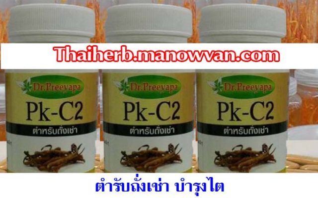 ถั่งเช่าสูตรบำรุงไต บำรุงปวด