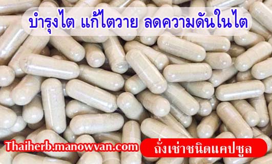 ถั่งเช่าชนิดแคปซูล