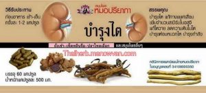 สมุนไพรบำรุงไต ถั่งเช่าผสมกระชายดำ