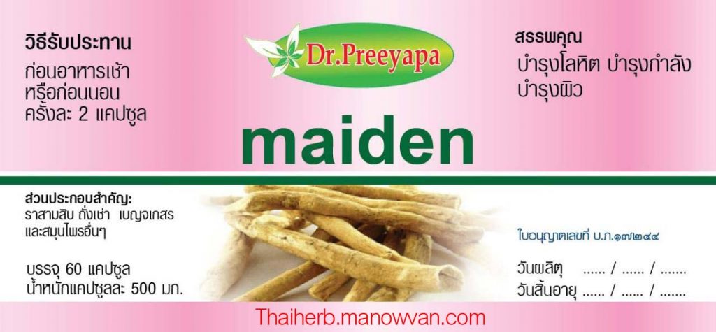 ไมเดน maiden