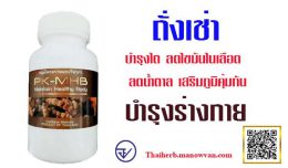 ถั่งเช่าบำรุงไตบำรุงปอด