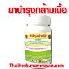 สมุนไพรบำรุงกล้ามเนื้อ