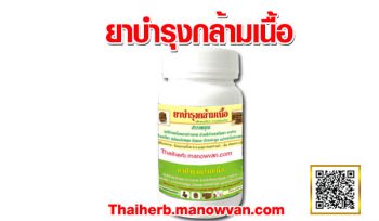 สมุนไพรบำรุงกล้ามเนื้อ