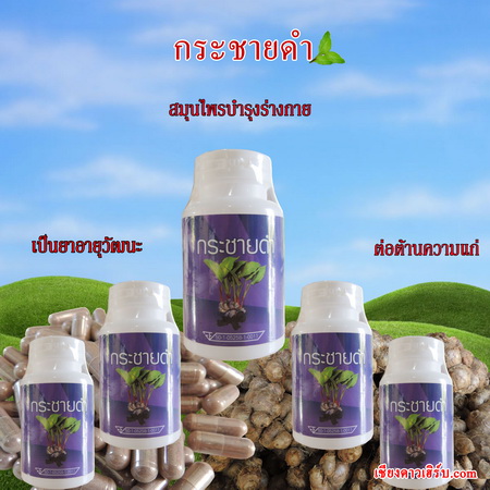 ราคาส่ง กระชายดำแคปซูล