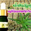 น้ำมันกัญชา สกัดชนิด CBD โดยแพทย์ทางเลือก